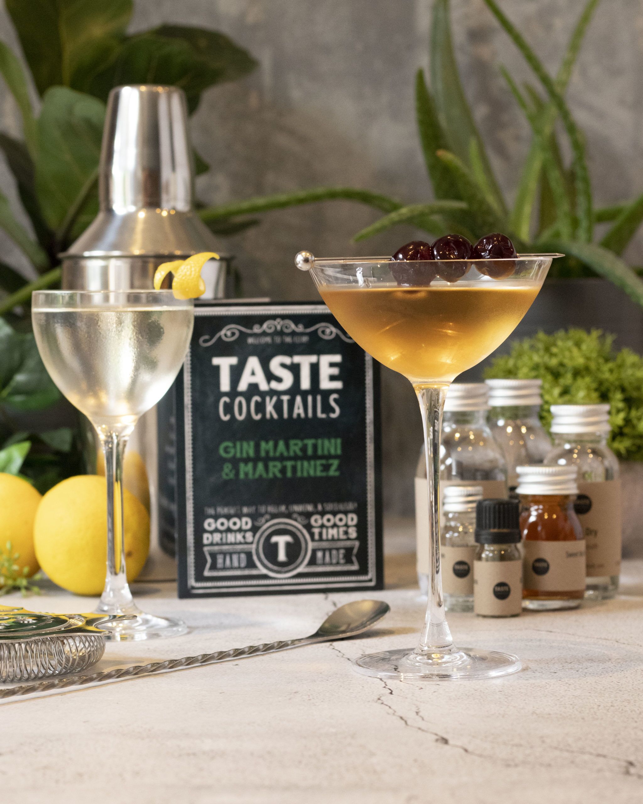 The Gin Martini Martinez Discovery Cocktail Kit Taste Cocktails